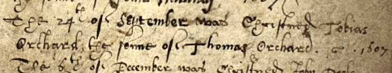 tobiasorchardbap1607c.jpg tobiasorchardbap1607c.jpg