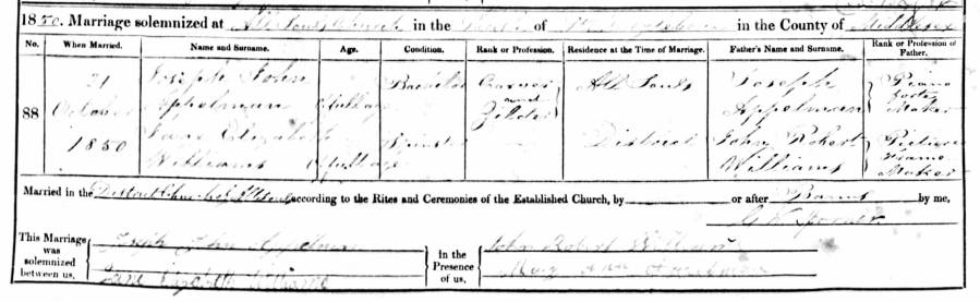 josephjohnappelmanjaneelizabethwilliamsmarr.jpg josephjohnappelmanjaneelizabethwilliamsmarr.jpg