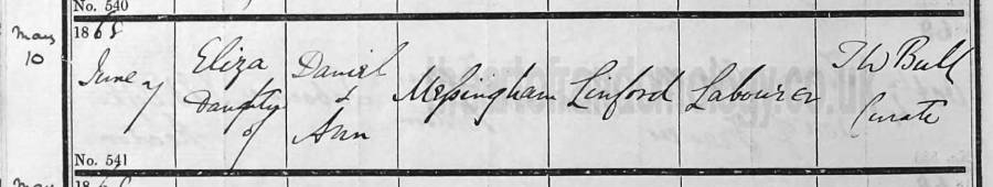 elizamessinghambapt1868cwbw.jpg elizamessinghambapt1868cwbw.jpg