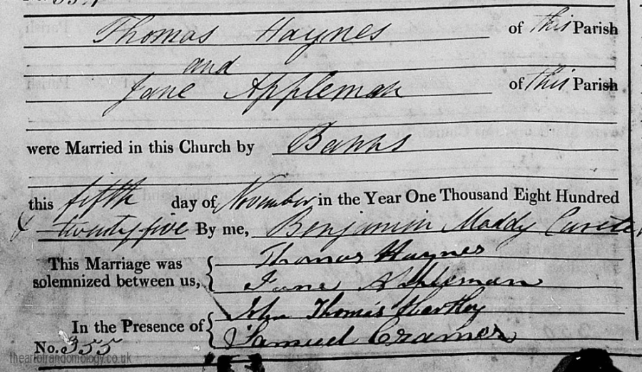 appelmanhaynesmarr1825.png appelmanhaynesmarr1825.png